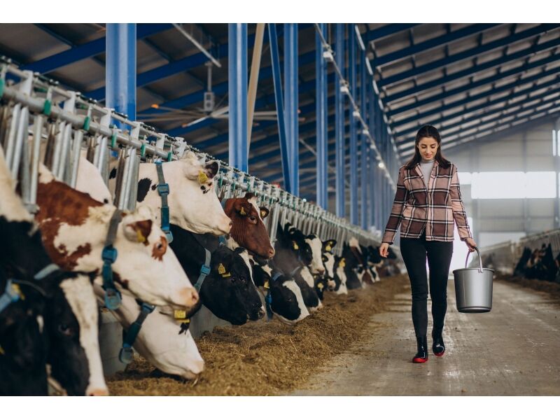 Aromas | Avrupa Kimya